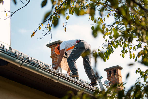 Best Rubber Roofing (EPDM, TPO)  in West Wyoming, PA